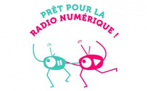 RNT : le CSA dresse un premier bilan