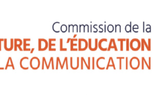 Sénat : une table ronde sur le DAB+