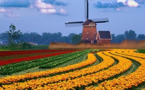 Les Pays-bas envisagent la fin de la FM en 2017