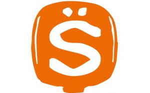 SIRTI : "le CSA doit engager le déploiement sans plus tarder"