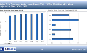 Une année 2025 sans grands événements qui freine les usages sauf en audio digital 