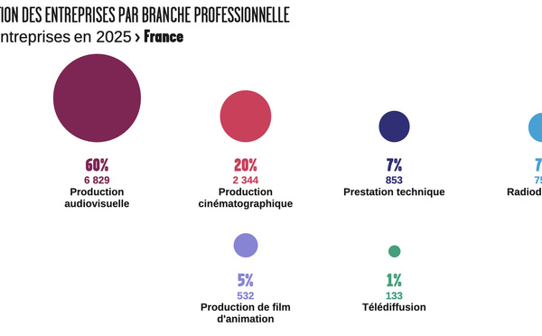 La CPNEF affine la lecture de l’emploi et des entreprises dans l’audiovisuel